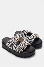 Zebra Ald Negru